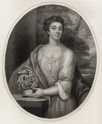 Francis Seymour, ilustración de 